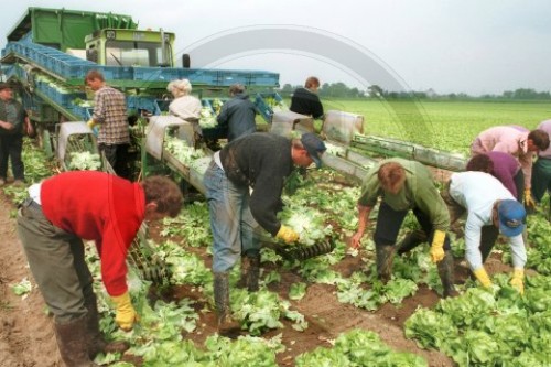 LANDWIRTSCHAFT AGRICULTURE