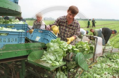 LANDWIRTSCHAFT AGRICULTURE