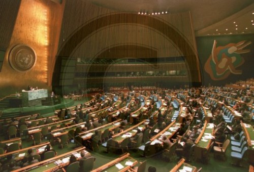 Vereinte Nationen