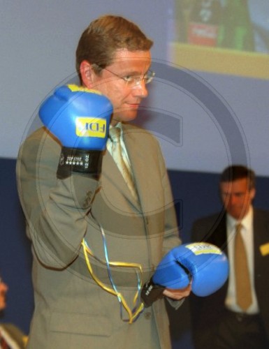 FDP Parteitag