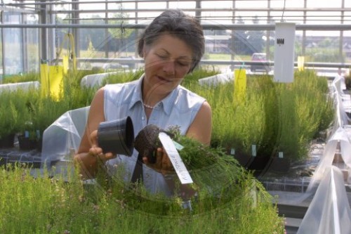 Biologische Bundesanstalt fuer Land - und Forstwirtschaft