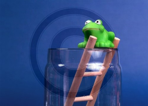 Frosch auf Leiter