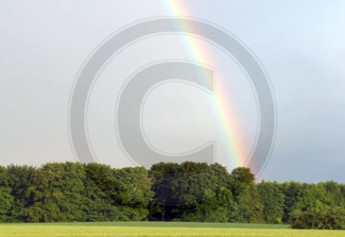 Regenbogen