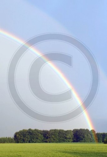 Regenbogen