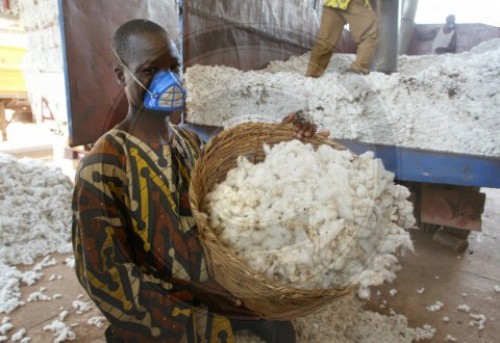 Baumwolle in Benin