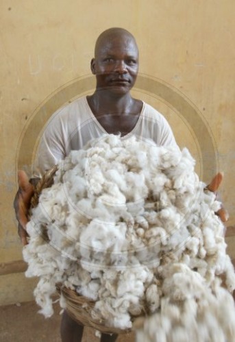 Baumwolle in Benin