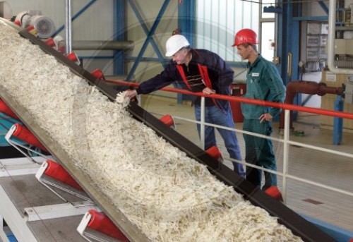 Foerderband fuer Ruebenschnitzel bei Nordzucker