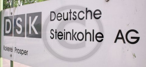 Deutsche Steinkohle