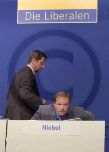 Dirk NIEBEL , Generalsekretaer
