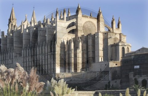 La Seo , Kathedrale von Palma de Mallorca