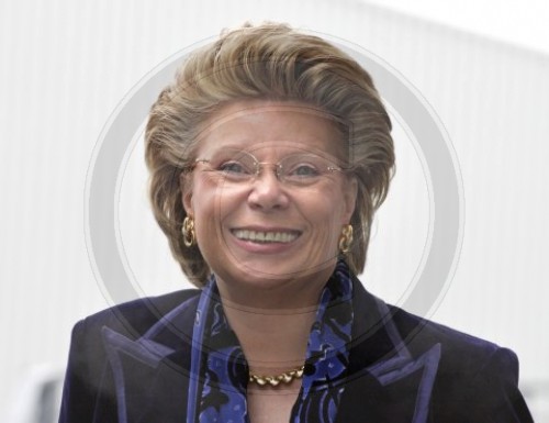 Viviane REDING