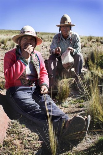 Bauer in Bolivien
Soforthilfeprogr