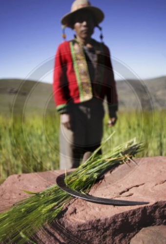 Bauer in Bolivien
Soforthilfeprogr