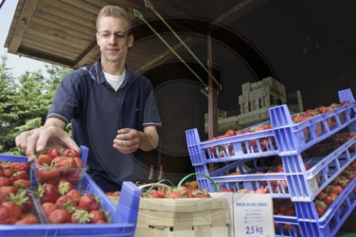 Junge Mann verkauft Erdbeeren