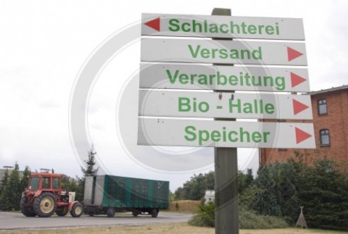 Bio-Haehnchen-Farm