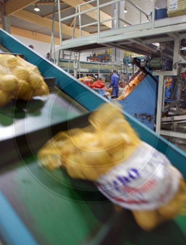 Kartoffellandhandelbetriebe