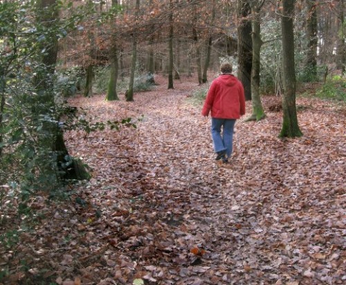 Herbstspaziergang