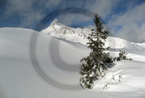 Skigebiet Obertauern in Oesterreich
