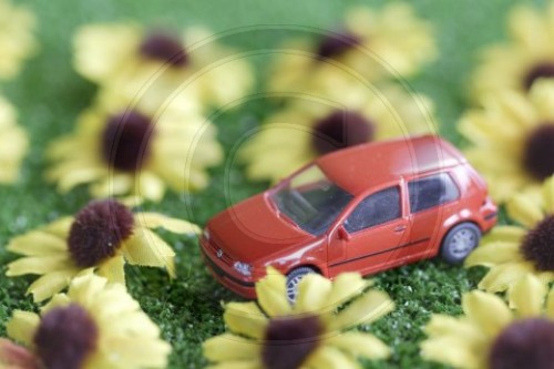 Auto und Blumen