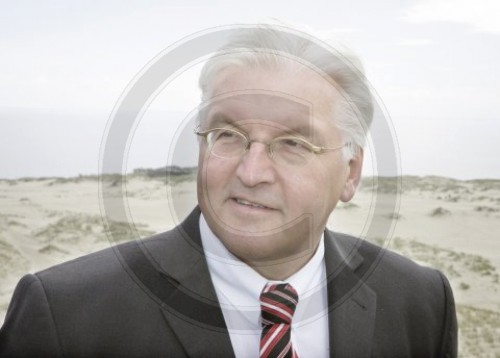 Frank-Walter STEINMEIER