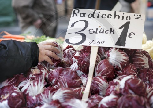 Radicchio