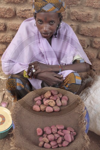 Fulbe in Burkina Faso