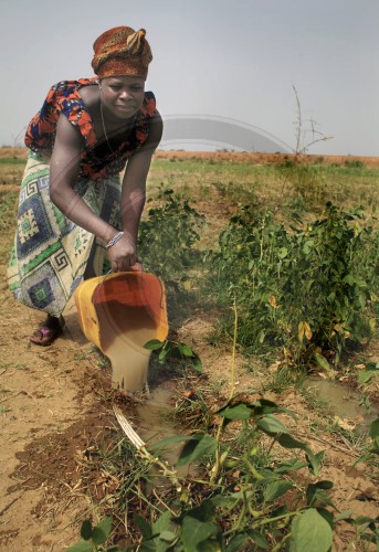 Ackerbau in Burkina Faso