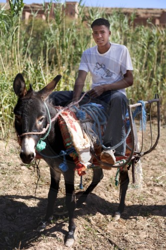 Junger Bauer in Marokko