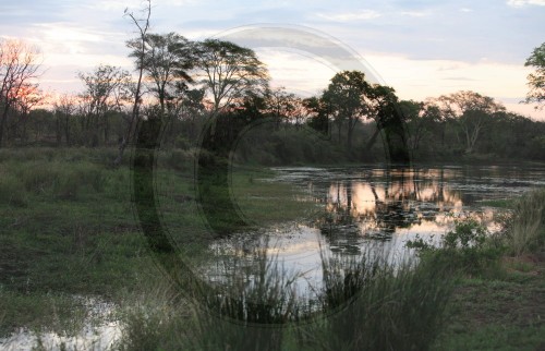 Daemmerung im  Great Limpopo Transfrontier Park