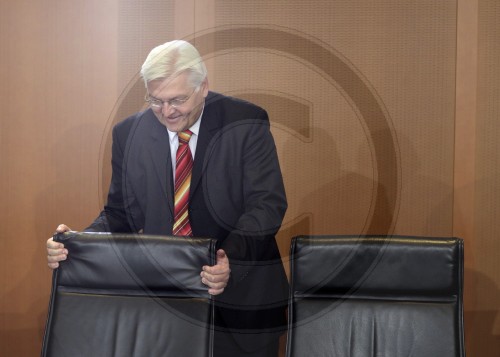 Frank-Walter STEINMEIER