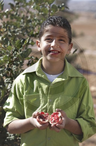 Junge mit Granatapfel