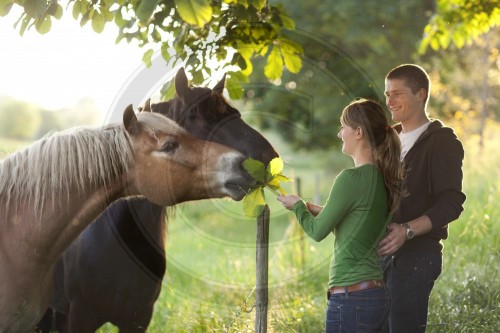 Junges Paar mit Pferd