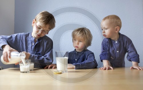 Drei Brueder trinken Milch