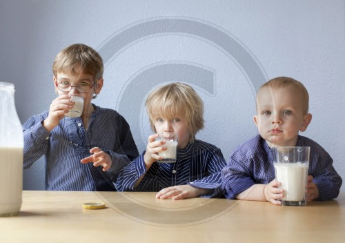 Drei Brueder trinken Milch