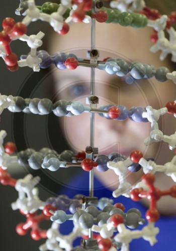 Studentin mit einem DNA-Modell