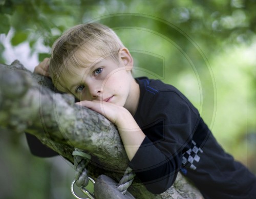 6 Jahre alter Junge auf einem Baum