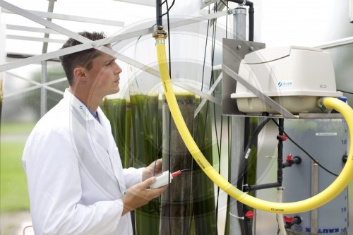 Algenforschungsanlage zur CO2 Minderung
