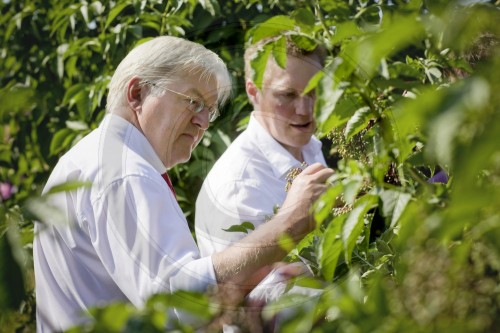 Steinmeier besucht die BIONADE GMBH