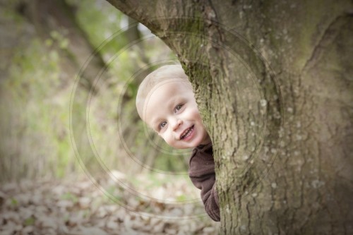 Kleiner Junge versteckt sich hinter einem Baum