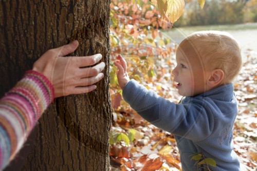 Kleiner Junge versteckt streichelt einem Baum