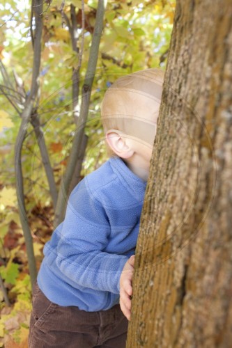 Kleiner Junge versteckt sich hinter einem Baum