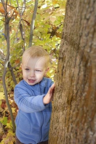 Kleiner Junge versteckt sich hinter einem Baum