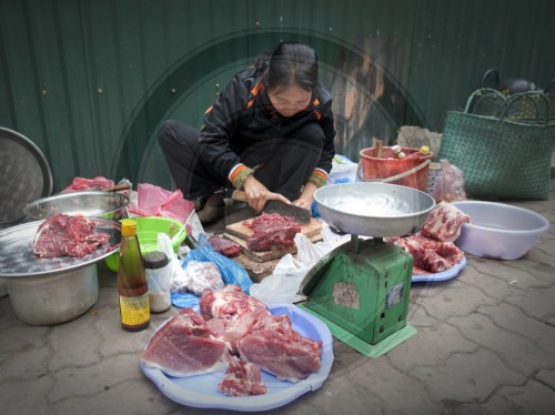 Fleischfachverkaeuferin in Hanoi| Female meat seller in Hanoi