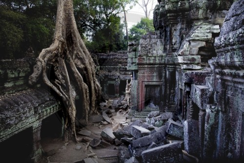 Tempelanlage Ta Prohm| Temple complex of Ta Prohm