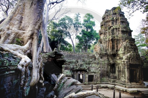 Tempelanlage Ta Prohm| Temple complex of Ta Prohm