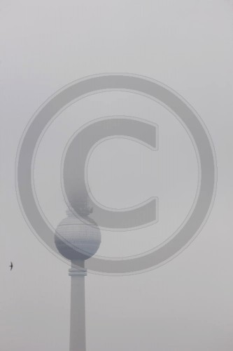 Fernsehturm im Nebel | TV Tower in the fog