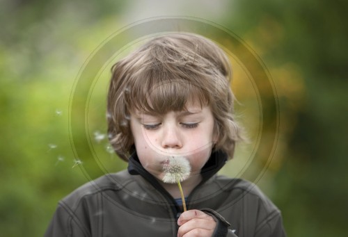 Junge mit Pusteblume | Boy with dandelion