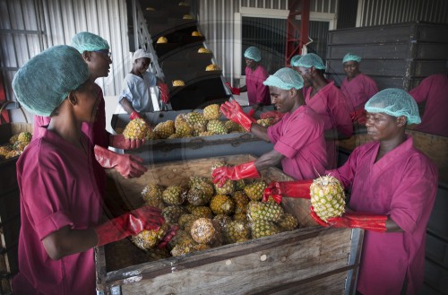 Herstellung von Fruchtsaft in Afrika