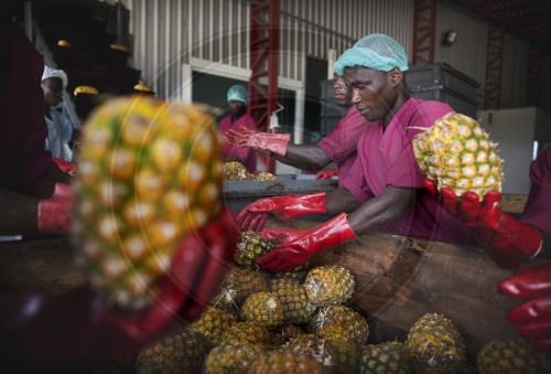 Herstellung von Fruchtsaft in Afrika