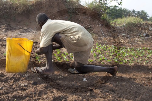 Landwirtschaft in Afrika